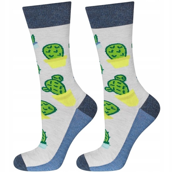 Men's funny socks SOXO GOOD STUFF cactus