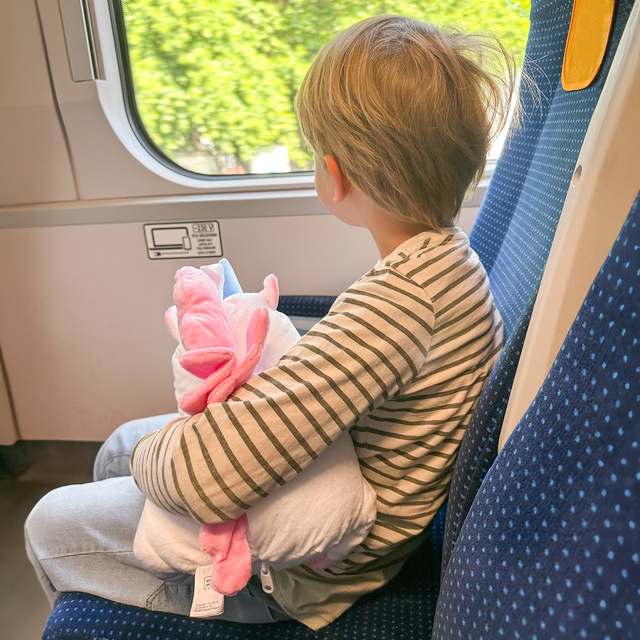 Reisekissen mit Einhorn-Motiv