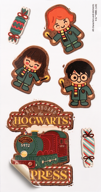 Harry Potter Socken in Box