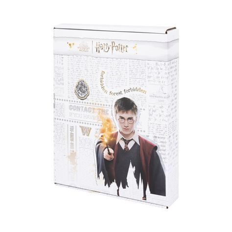 Adventskalender| Harry Potter Buch | 6 Paar Damensocken | SOXO 