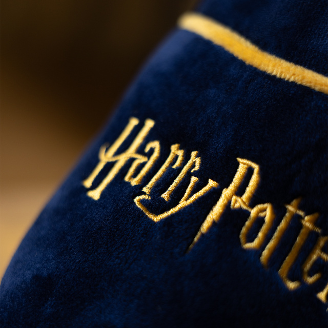 Herren-Hausschuhe mit Harry Potter-Motiv