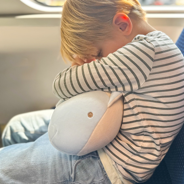 Reisekissen mit Delfin-Motiv