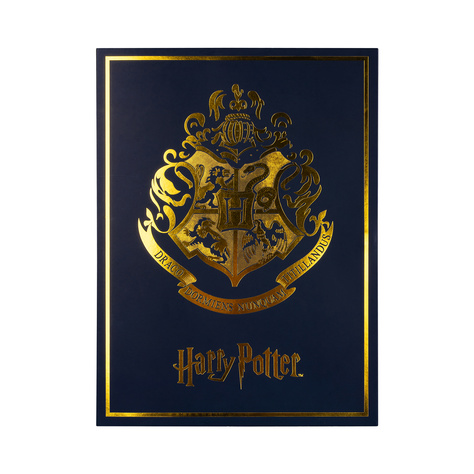 Gift Box | Harry Potter Buch | 6 Paar Damensocken | SOXO 