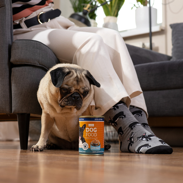Socken mit Buldog-Motiv in Dose