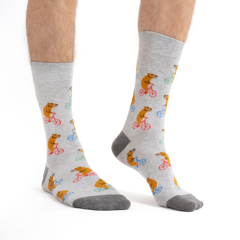 2 Paar lustige Socken mit Wasserschwein auf Fahrradmotiv | Herren-Socken | SOXO