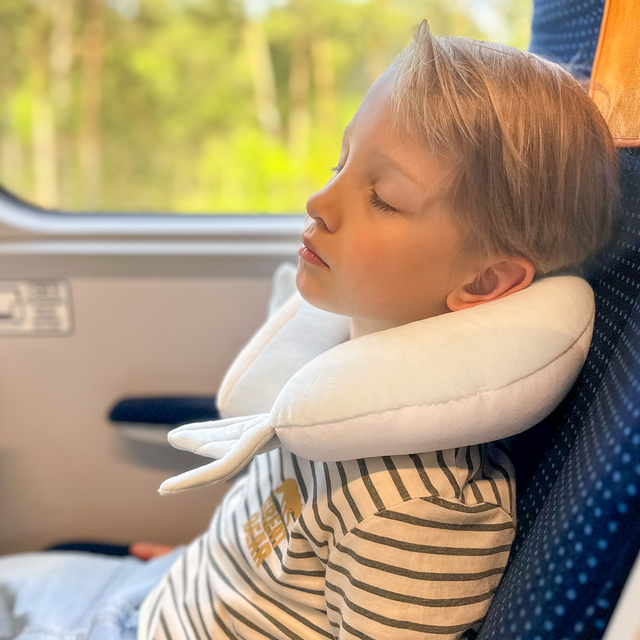 Reisekissen mit Delfin-Motiv