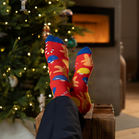 Set mit 2x  Herrensocken mit Weihnachtsmotiv | SOXO