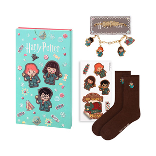 Harry Potter Socken in Box