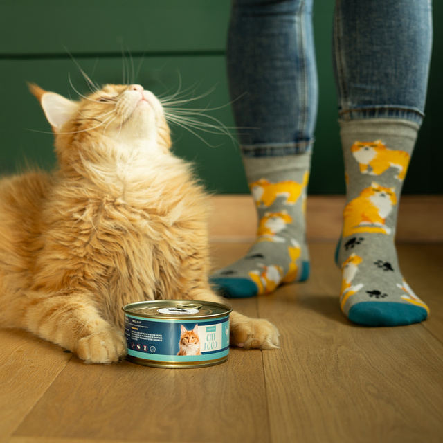 Socken mit Katzen-Motiv in Dose