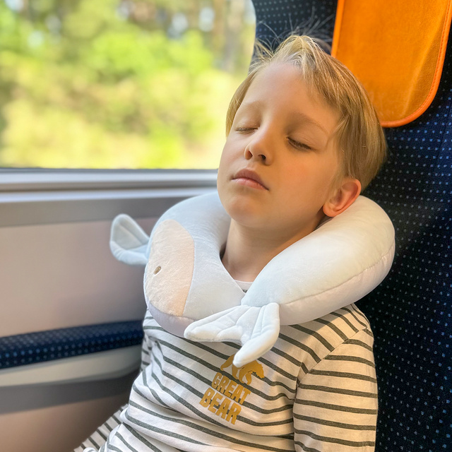 Reisekissen mit Delfin-Motiv
