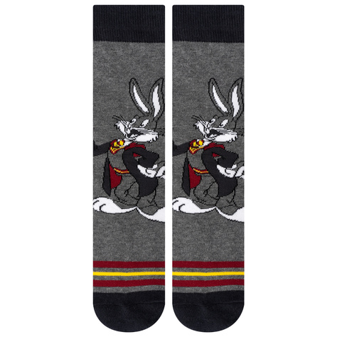 Set mit 2 x Herrensocken Bugs und Daffy | SOXO