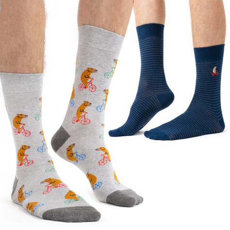 2 Paar lustige Socken mit Wasserschwein auf Fahrradmotiv | Herren-Socken | SOXO