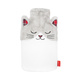 Katze