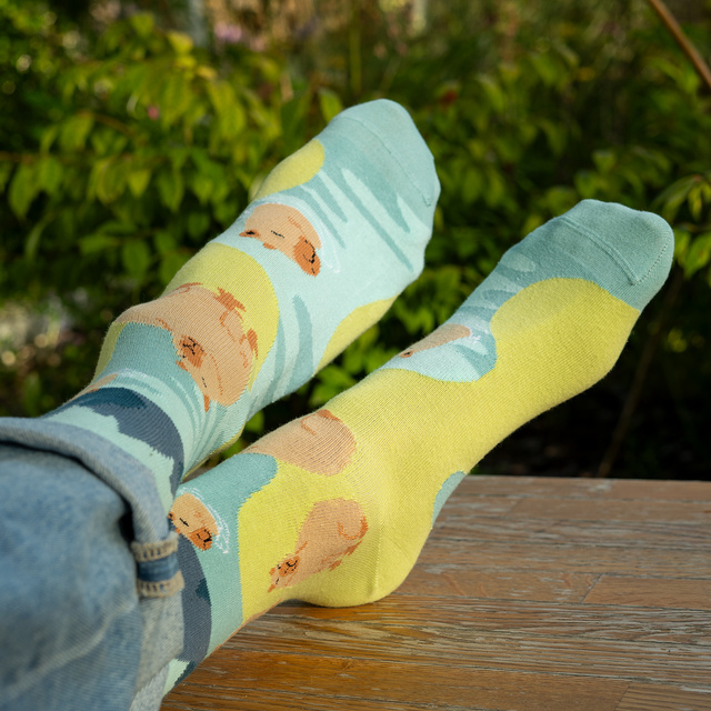 Socken mit Capybara im Wasser-Motiv 2er-Pack