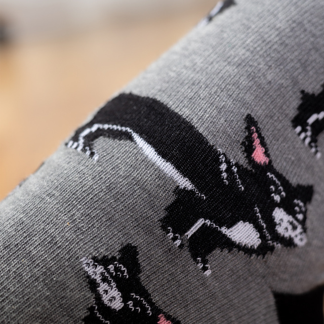 Socken mit Buldog-Motiv in Dose