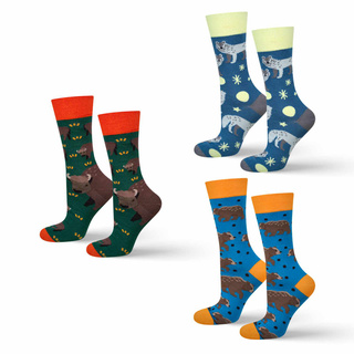 Socken mit Natur-Motiv 3er-Pack