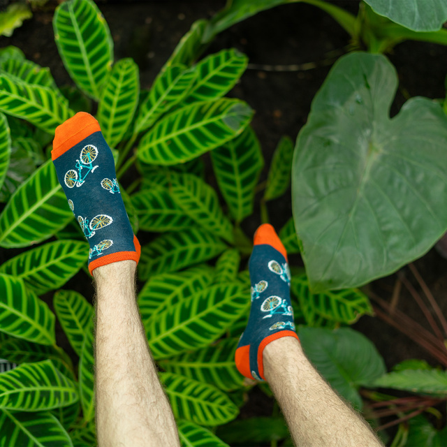 SOXO Set 5 Herren kurze Socken | Bier und Pizza Muster