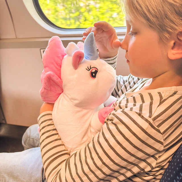 Reisekissen mit Einhorn-Motiv