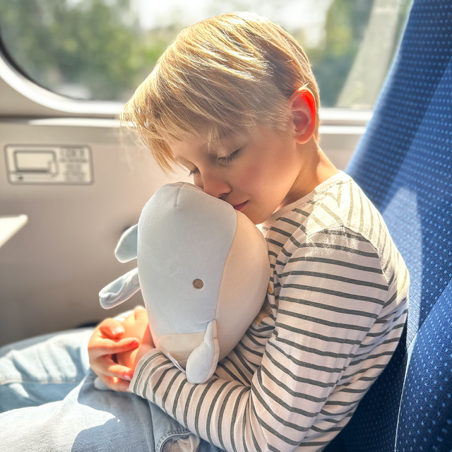 Reisekissen mit Delfin-Motiv