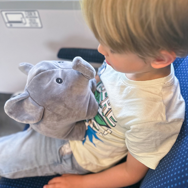 MOMO WAY Multifunktionales Reisekissen für ein Kind | Elefant