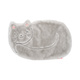 Katze