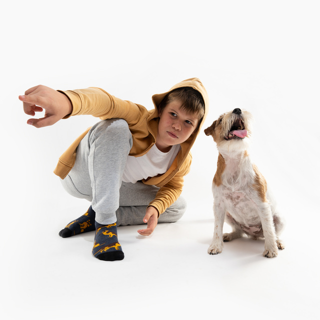 Socken mit Deutscher Schäferhund-Motiv in Dose