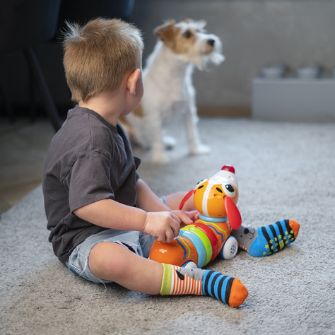 Set mit 3x Kindersocken mit Haustieren | SOXO