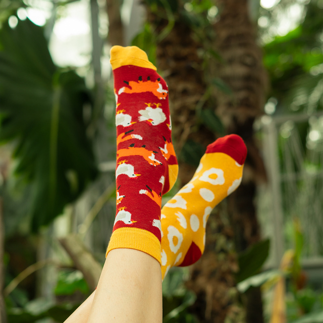 Socken mit Pizza-Motiv 6er-Pack