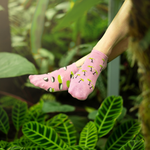 Kurze Socken 5er-Pack