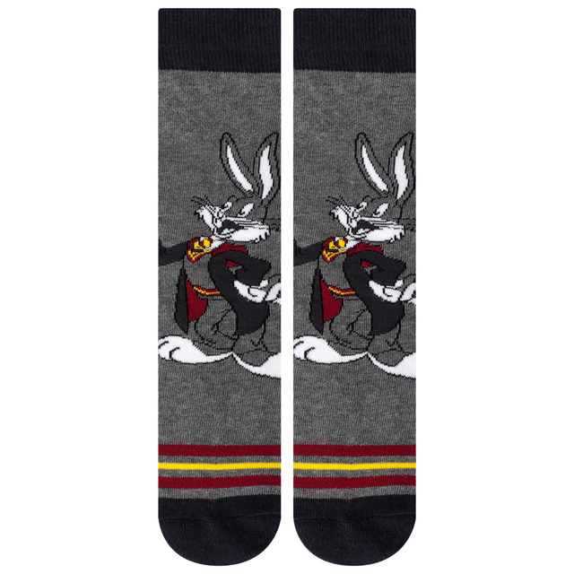 Set mit 2 x Herrensocken Bugs und Daffy | SOXO