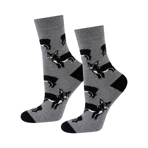 1 Paare von lustigen Socken mit Buldogmotiv in einzigartiger Verpackung | Damen-/Herrensocken | SOXO