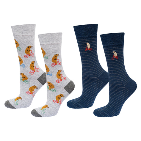 2 Paar lustige Socken mit Wasserschwein auf Fahrradmotiv | Herren-Socken | SOXO