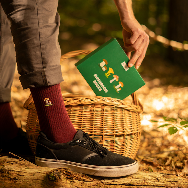 Socken mit Pilz-Motiv 4er-Pack
