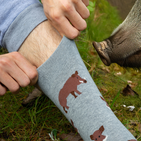 1 Paar von lustigen Socken mit Wildschwein-Pastete Motiv im Glas | Herrensocken | SOXO