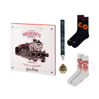 Harry Potter Socken 2 Pack