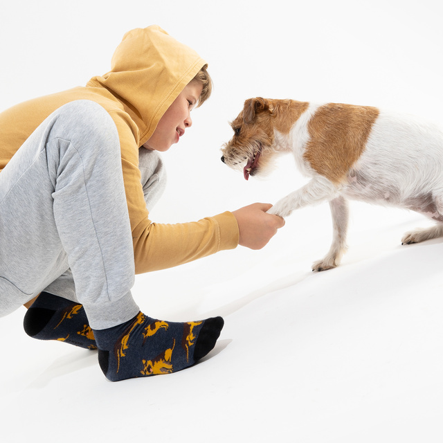Socken mit Deutscher Schäferhund-Motiv in Dose