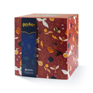 Harry-Potter-Socken-Geschenkbox 24er-Pack