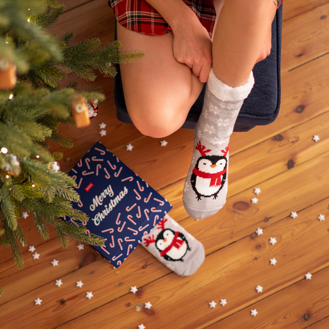 1 Paar von lustige Socken mit Weihnachtspinguin  | Damensocken | SOXO