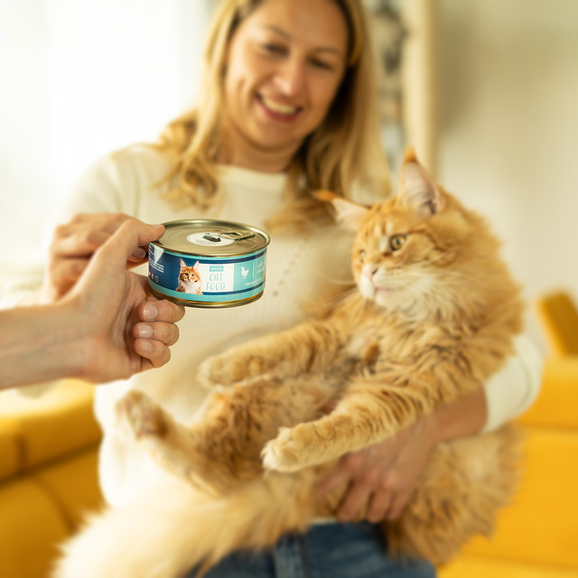 Socken mit Katzen-Motiv in Dose